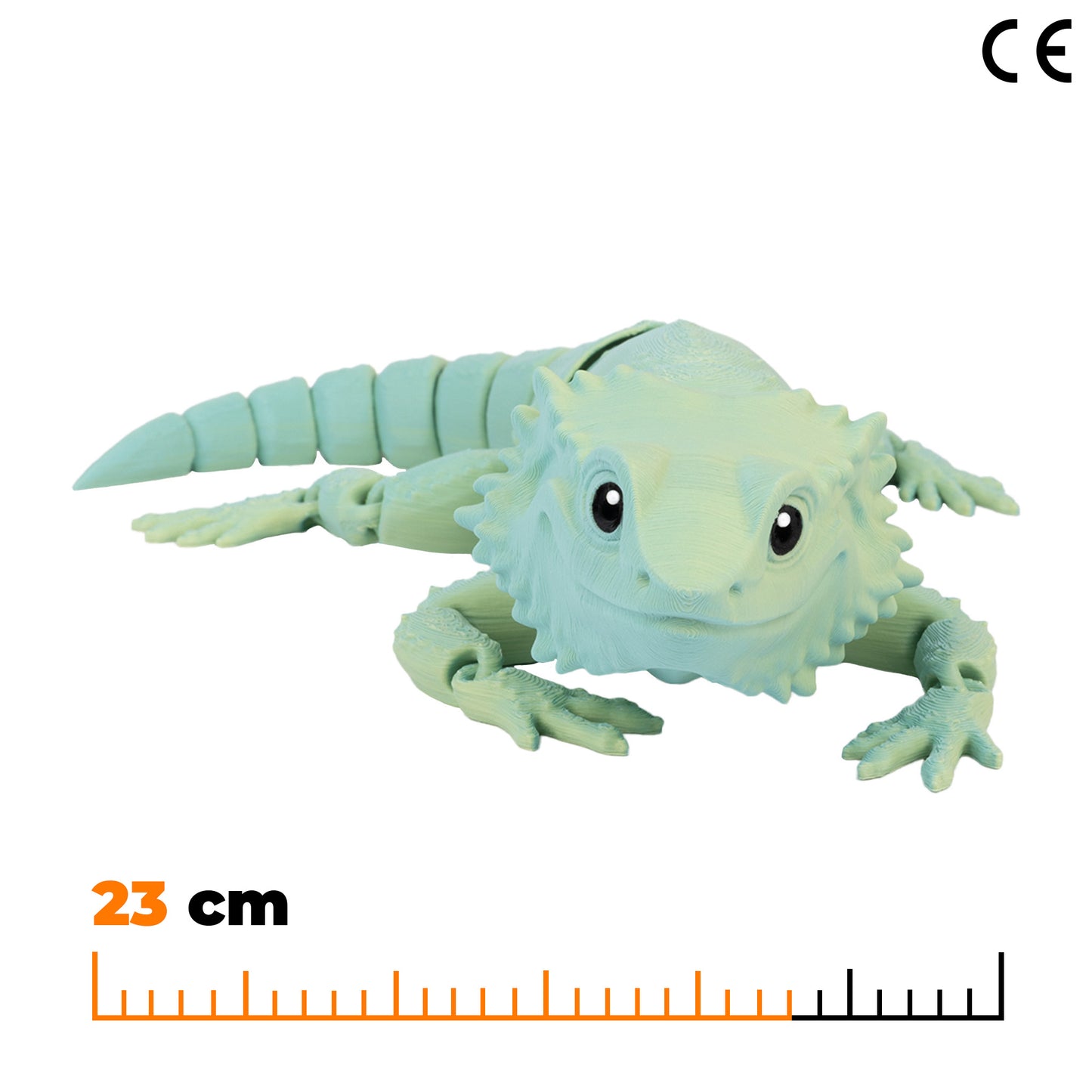 Agama - Zeleno-žlutá