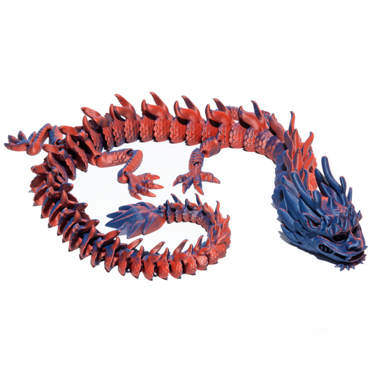 Čínský dračí dospělák - Červeno-modrá