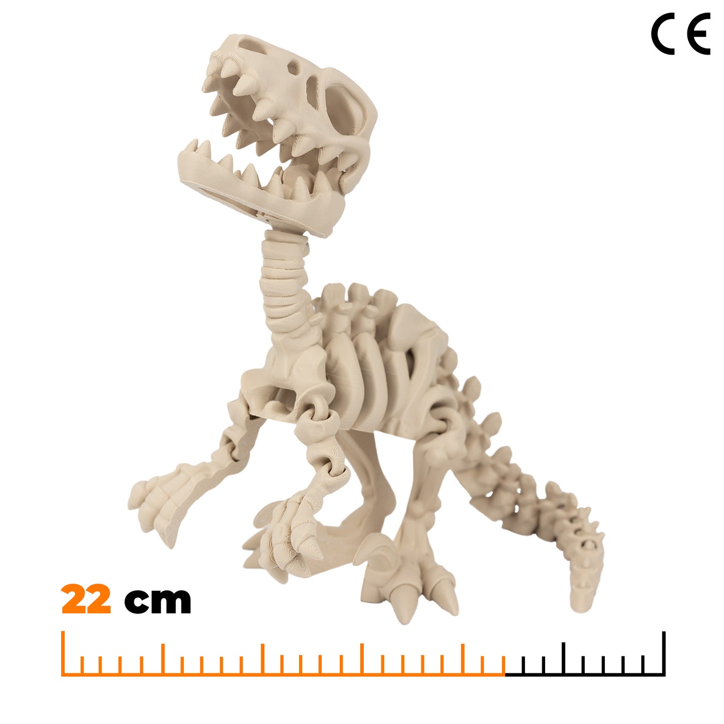 Raptor - Béžová