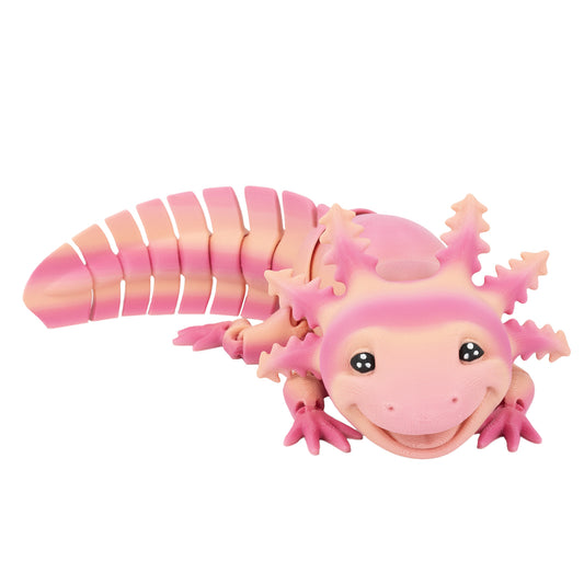 Axolotl - Postupná růžová